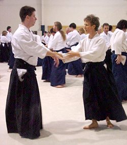 Photo:
        Demonstration practice of Aikido